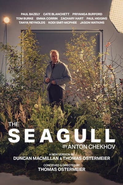 The Seagull
