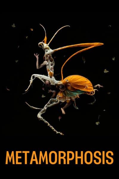 Metamorphosis